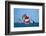 Full Sail Ahead-null-Framed Premium Giclee Print