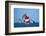 Full Sail Ahead-null-Framed Premium Giclee Print