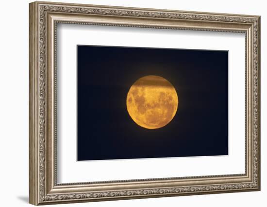 Full Supermoon, Lunar Perigee (Moons Closest Point to the Earth), New Zealand-David Wall-Framed Photographic Print