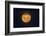 Full Supermoon, Lunar Perigee (Moons Closest Point to the Earth), New Zealand-David Wall-Framed Photographic Print