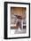 Full view of a Saddle resting on the railing, Tucson, Arizona, USA.-Julien McRoberts-Framed Photographic Print