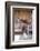 Full view of a Saddle resting on the railing, Tucson, Arizona, USA.-Julien McRoberts-Framed Photographic Print