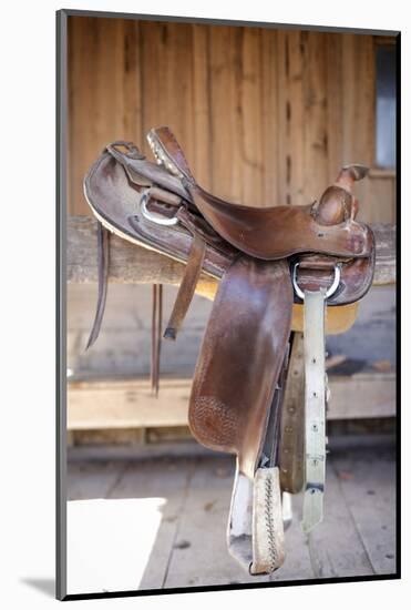 Full view of a Saddle resting on the railing, Tucson, Arizona, USA.-Julien McRoberts-Mounted Photographic Print