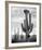 Full view of cactus with others surrounding, Saguaros, Saguaro National Monument, Arizona, ca. 1941-Ansel Adams-Framed Art Print