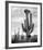 Full view of cactus with others surrounding, Saguaros, Saguaro National Monument, Arizona, ca. 1941-Ansel Adams-Framed Art Print