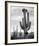 Full view of cactus with others surrounding, Saguaros, Saguaro National Monument, Arizona, ca. 1941-Ansel Adams-Framed Art Print