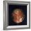 Full View of Io, One of the Moons of Jupiter, 1979-null-Framed Giclee Print