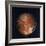 Full View of Io, One of the Moons of Jupiter, 1979-null-Framed Giclee Print