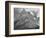 Full View Of Mountain "Going-To-The-Sun Mountain Glacier National Park" Montana. 1933-1942-Ansel Adams-Framed Art Print