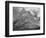 Full View Of Mountain "Going-To-The-Sun Mountain Glacier National Park" Montana. 1933-1942-Ansel Adams-Framed Premium Giclee Print