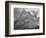 Full View Of Mountain "Going-To-The-Sun Mountain Glacier National Park" Montana. 1933-1942-Ansel Adams-Framed Premium Giclee Print