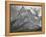 Full View Of Mountain "Going-To-The-Sun Mountain Glacier National Park" Montana. 1933-1942-Ansel Adams-Framed Stretched Canvas