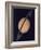 Full View of Saturn and Her Rings, 1980-null-Framed Giclee Print