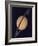 Full View of Saturn and Her Rings, 1980-null-Framed Giclee Print