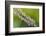 Fully-Heidi Westum-Framed Photographic Print