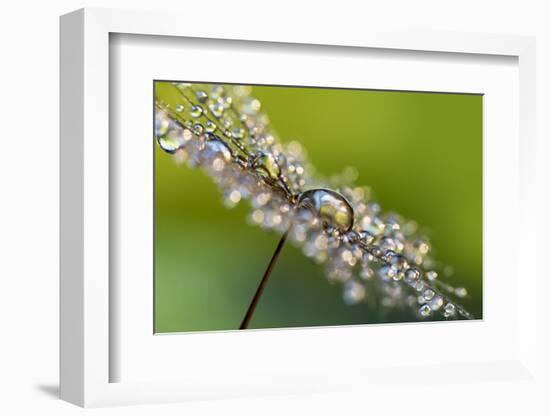 Fully-Heidi Westum-Framed Photographic Print