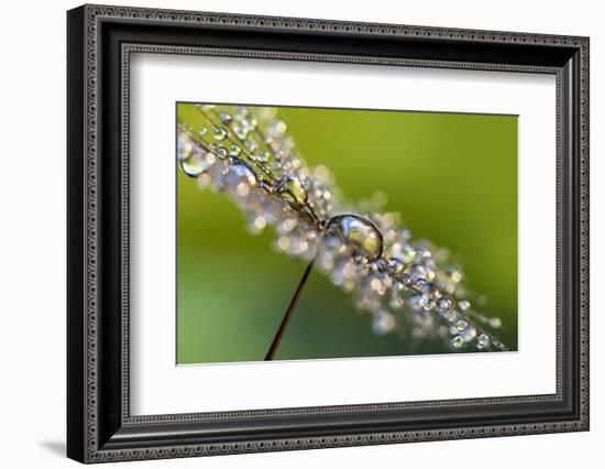 Fully-Heidi Westum-Framed Photographic Print