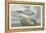 Fulmer Petrel, 1835-John James Audubon-Framed Premier Image Canvas