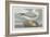 Fulmer Petrel, 1835-John James Audubon-Framed Premium Giclee Print