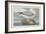 Fulmer Petrel, 1835-John James Audubon-Framed Premium Giclee Print