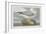 Fulmer Petrel, 1835-John James Audubon-Framed Giclee Print