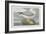 Fulmer Petrel, 1835-John James Audubon-Framed Giclee Print