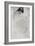 Fumette's Bent Head, C1859-James Abbott McNeill Whistler-Framed Giclee Print