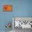 Fun And Games - Orange Version-Dog is Good-Framed Stretched Canvas displayed on a wall