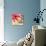 Fun Flowers I-Sandra Jacobs-Giclee Print displayed on a wall