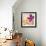 Fun Flowers II-Sandra Jacobs-Framed Giclee Print displayed on a wall