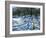 Fun in the Snow, Morzine, France-Andrew Macara-Framed Giclee Print