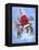 Fun in the Snow-Hal Frenck-Framed Premier Image Canvas
