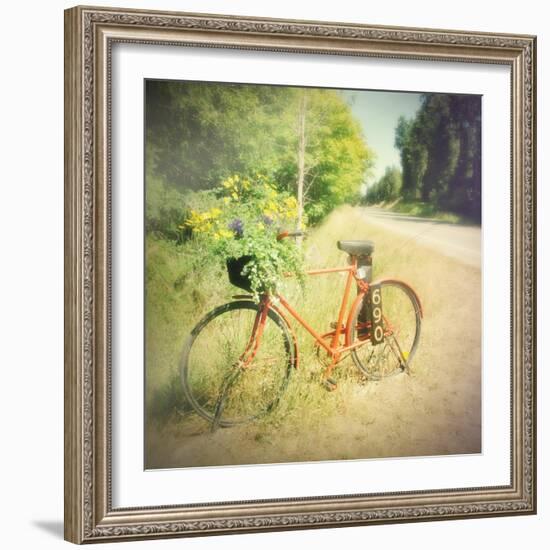 Fun-Amy Melious-Framed Art Print