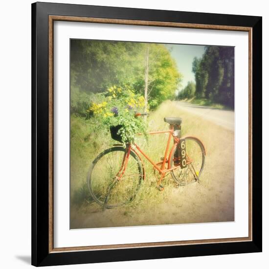 Fun-Amy Melious-Framed Art Print