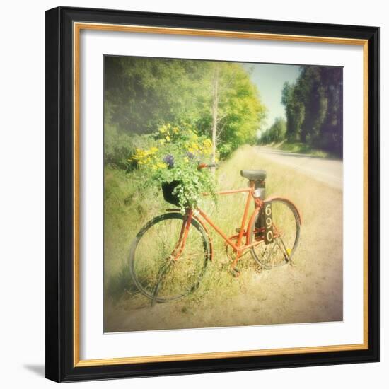 Fun-Amy Melious-Framed Art Print