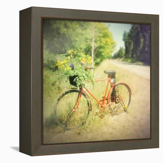 Fun-Amy Melious-Framed Stretched Canvas