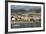 Funchal, Madeira, Portugal, Atlantic, Europe-Tony Waltham-Framed Photographic Print