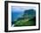 Funchal, Madeira, Portugal-Alison Jones-Framed Photographic Print