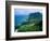 Funchal, Madeira, Portugal-Alison Jones-Framed Photographic Print