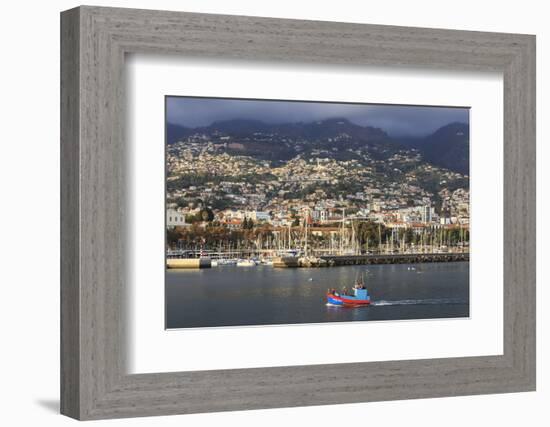 Funchal Town from Sea with Fishing Boat, Lit by Evening Sun with Foggy Mountain Backdrop, Funchal-Eleanor Scriven-Framed Photographic Print