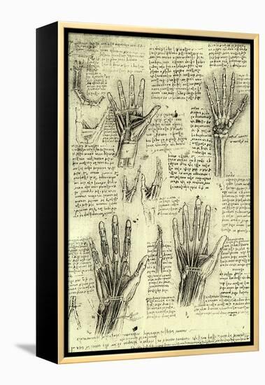 Functions of Human Hand-Leonardo da Vinci-Framed Premier Image Canvas