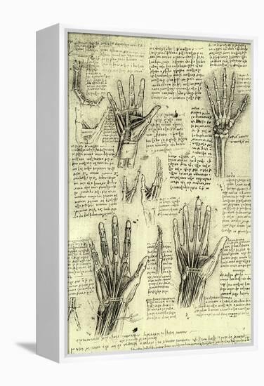 Functions of Human Hand-Leonardo da Vinci-Framed Premier Image Canvas