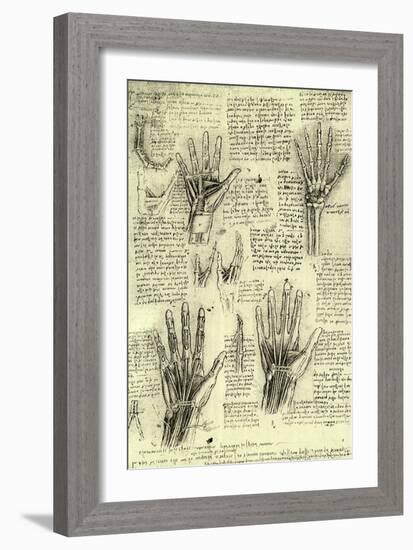 Functions of Human Hand-Leonardo da Vinci-Framed Giclee Print