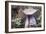 Fungi Focus - Crop-Staffan Widstrand-Framed Giclee Print