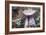 Fungi Focus - Crop-Staffan Widstrand-Framed Giclee Print