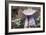 Fungi Focus - Crop-Staffan Widstrand-Framed Giclee Print