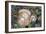 Fungi Focus - Pick-Staffan Widstrand-Framed Giclee Print