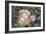 Fungi Focus - Pick-Staffan Widstrand-Framed Giclee Print