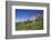 Fungi in the Grass of the Marienberg Alp Near Biberwier in Tyrol, Mountaintop-Uwe Steffens-Framed Photographic Print