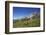 Fungi in the Grass of the Marienberg Alp Near Biberwier in Tyrol, Mountaintop-Uwe Steffens-Framed Photographic Print